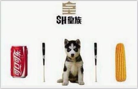二次元大作战！各大战队动漫照大PK
