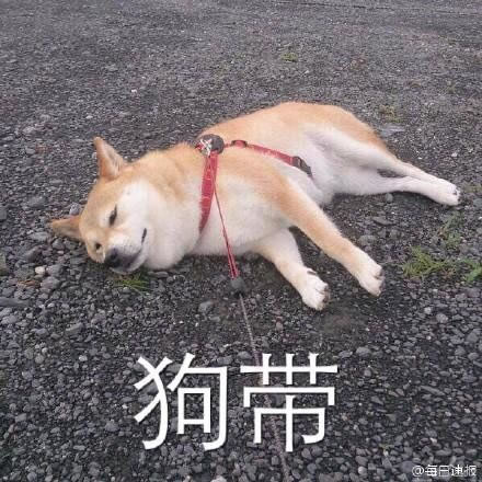 逗比图解 LOL黄铜五是什么游戏