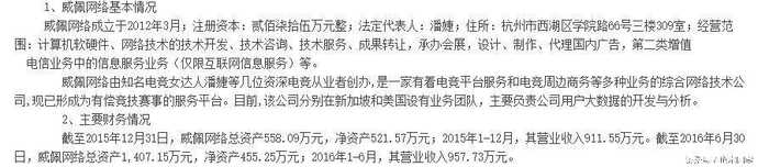 LGD获投资2.8亿，LGD女总裁RURU身价过亿
