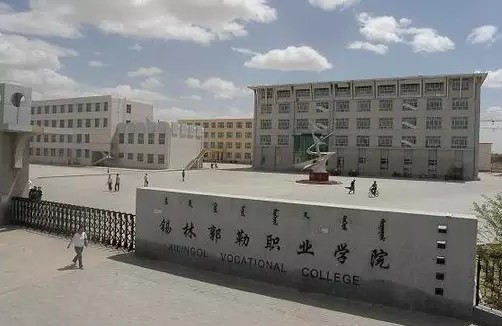 木有新闻：杨永信戒网中心再爆丑闻！竟然乱收费达五千万？