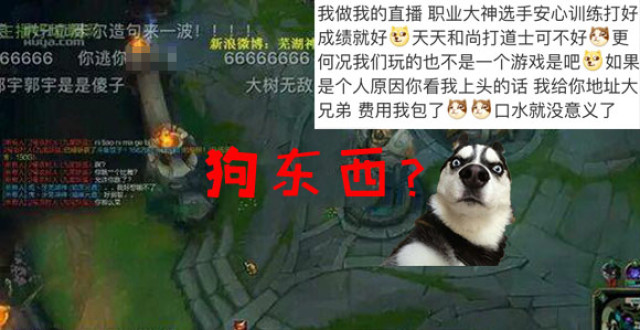 六说联盟：黑暗势力的陨落，OMG竟向芜湖神低头？59e已亡？