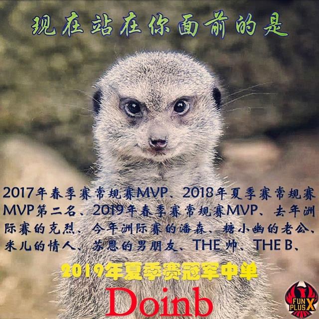 粉丝制作<a href=/gaoshou/faker/ target=_blank class=infotextkey>Faker</a>生涯荣誉图，数量之多引热议，网友：金咕咕自闭了