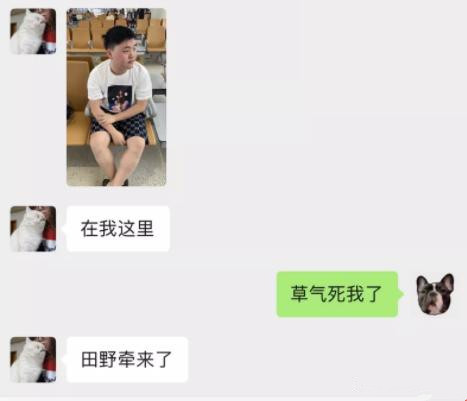 Uzi浦东机场迷路走丢 最后被Meiko找回