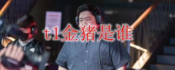 t1金猪是谁