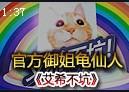 成吨大叔的好搭档 官方御姐龟仙人艾希不坑
