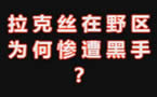溪子高雅解说：我很短！但滚的有快感！
