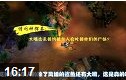 小苍解说：神探苍第5期-教你伪装回程