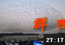 吨叔解说：不抢治疗的剑圣不是好贱圣