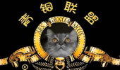 小妍青铜联盟:五五开的神级闪现