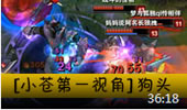 小苍第一视角：狗头1v5是一种怎样的体验！