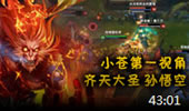 小苍第一视角：齐天大圣孙悟空 逆风Carry全场！