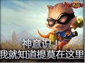 神意识！我就知道提莫在这里