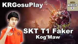 Faker大嘴的ADC视角 韩服职业选手局