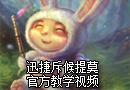 小可爱提莫幸福就是种蘑菇