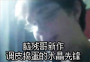 调皮捣蛋惹人厌的水晶先锋