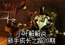 大虫子科加斯新手成长之路