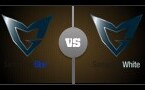 S4总决赛半决赛：三星Blue vs 三星white第二场