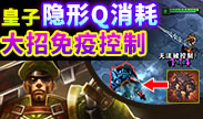 世界第一：皇子隐形Q消耗 大招免疫控制技巧！