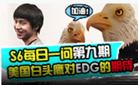 第九期:美国白头鹰对EDG的期待