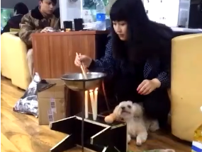 目瞪狗呆 妹子在网吧一边打LOL一边生火煮泡面
