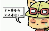 英雄联盟超神套装只需两件 五大装备组合堪称绝配