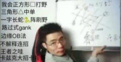 天下英雄：大司马复盘，揭秘Sofm如何养猪！