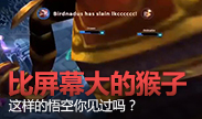 比屏幕还要大的猴子，你可曾见过？
