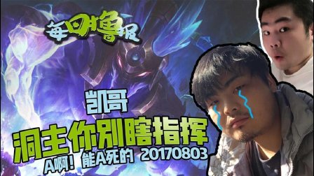 每日撸报：凯哥洞主你别瞎指挥