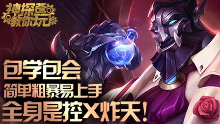 神探苍教你玩：简单粗暴 包教包会新版加里奥