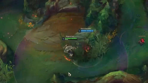 LOL：这两个英雄配合好，打五个有大龙buff的，跟喝水一样简单