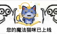 《LOL》克制魔法猫咪英雄一览