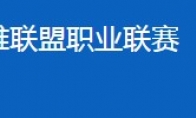 《LOL》LPL春季赛季后赛赛程及售票信息公布