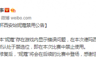 《LOL》德玛西亚杯临时禁用妮蔻公告