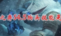 云顶之弈S4.5狗头技能是什么