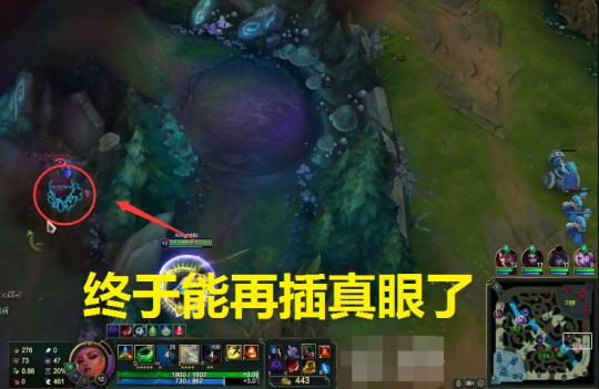 Knight登顶国服后变皮了？公屏教对面辅助排真眼，网友：主播别逗